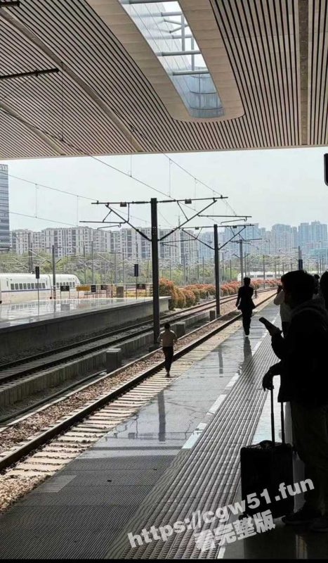 昨日上午 一名旅客在杭州火车东站 跳入轨道后与列车发生剐蹭受伤昏迷 被紧急送往医院救治！-51吃瓜网