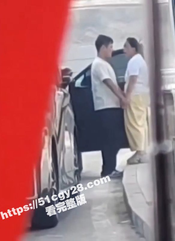 上海浦东机场路边 年轻小伙跟老阿姨缠绵时刻被偷拍 我觉得这个埃尔法我也能坐！-51吃瓜网