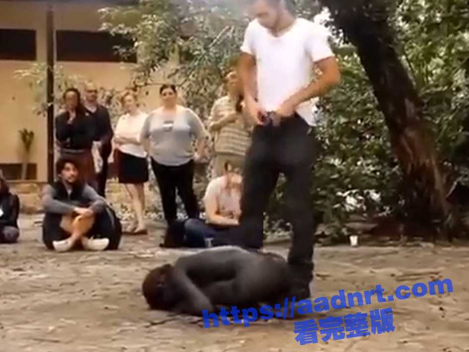 超级震撼的行为艺术！艺术家在危地马拉表演行为艺术 众人轮番对着一个小黑人身上撒尿！ - 51吃瓜网-51吃瓜网