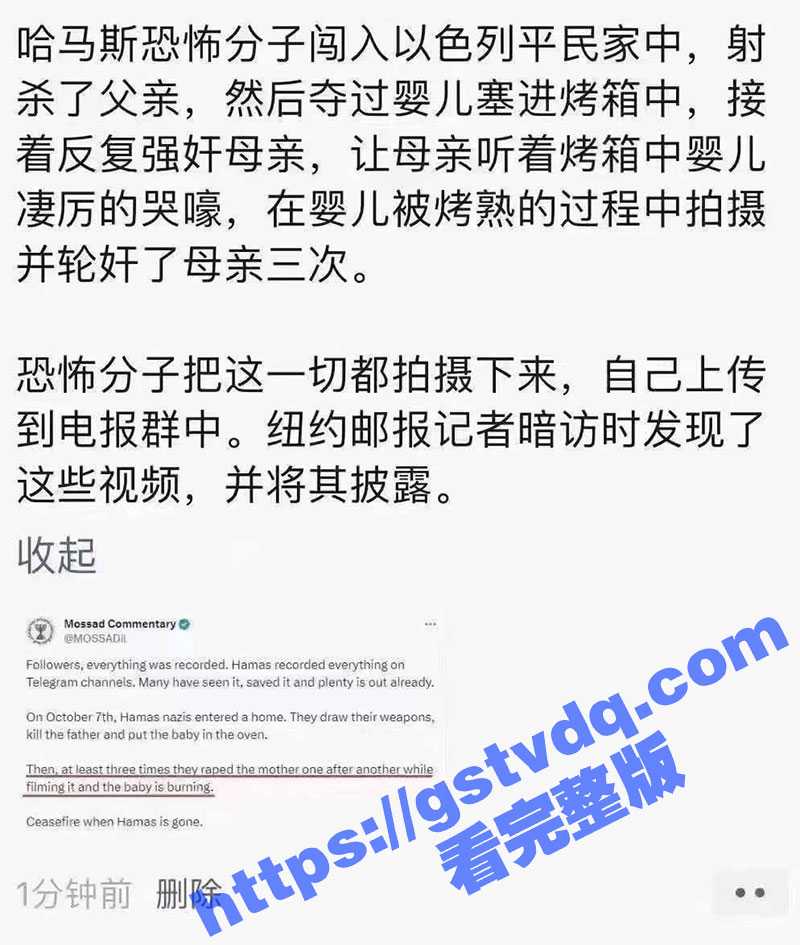 网传哈马斯恐怖分子闯入平民家里 射杀父亲 强暴母亲 还虐杀婴儿了 视频来了 真假自辨 不占立场只吃瓜！ - 51吃瓜网-51吃瓜网